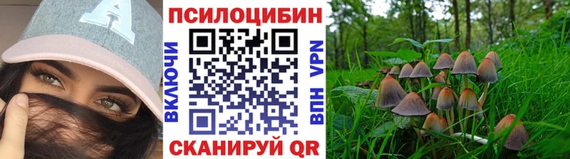 Купить закладки  Кимовск  Псилоцибиновые грибы мухоморы 